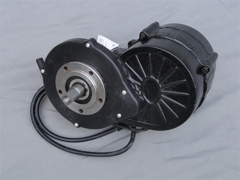 48V 1000W MID Drive Crank Motor Bbshd 1000W Ebike Conversion Kit with Display