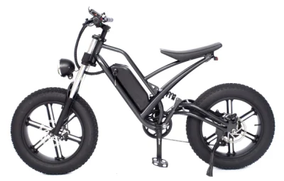 MID Drive Bafang Motor 7-Speed ​​VTT Fat Tire Off Road Electric Mountain Full Suspension Snow Cruiser E Bike avec batterie au lithium