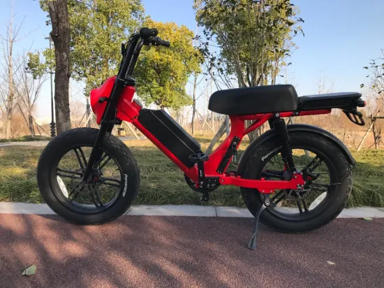 Vélo électrique cargo 750W48V avec grande batterie 5% de réduction