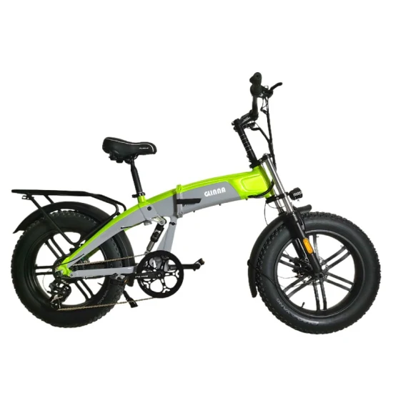 OEM de bicyclette électrique se pliant de gros pneu d'alliage d'aluminium de 20 