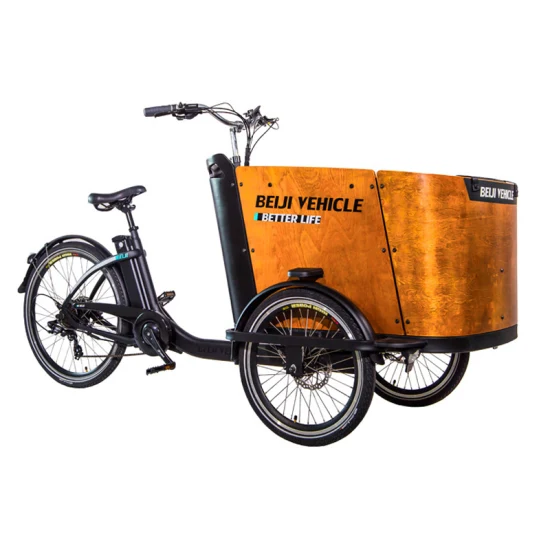 Cadre en acier de tricycle de cargaison de famille et boîte en bois imperméable Cadre de vélo en aluminium Vélo électrique de cargaison de 3 roues à vendre