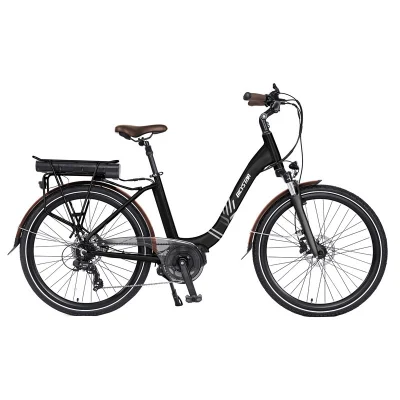 La Chine de gros de vélo de ville électrique en fibre de carbone en alliage d'aluminium au lithium Power Full Suspension Bicystar City vélo électrique à vendre