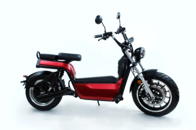 Grande puissance 4000W Portable 2 roues E Kick Scooters à grande vitesse