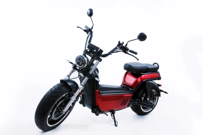 Grande puissance 4000W Portable à grande vitesse 2 roues Scooter électrique Citycoco fabriqué en Chine